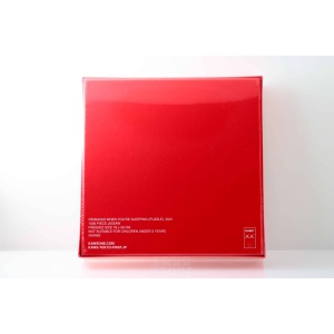 KAWS Tokyo First Piranhas When You’re Sleeping Puzzle Sealed AcquireItNow.com